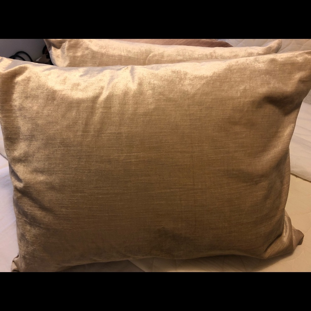 West Elm Standard Velvet Shams (Set of 2)